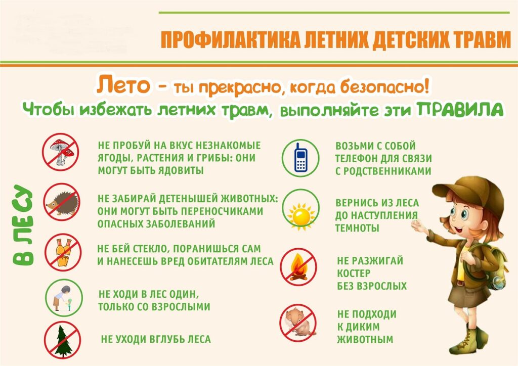 Плакат. Правила поведения в лесу. Безопасное лето.
